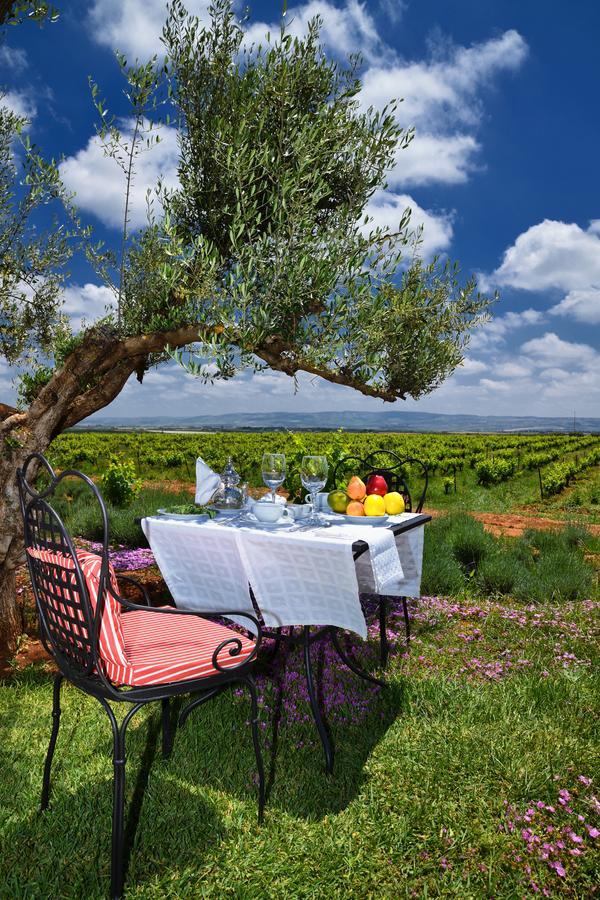 Chateau Roslane Boutique Hotel & Spa Мекнес Екстер'єр фото